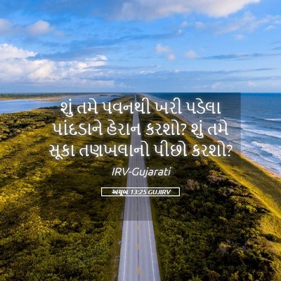 Picture 05 - અયૂબ 13:25 GUJIRV - શું તમે પવનથી ખરી - Bible Verse Picture
