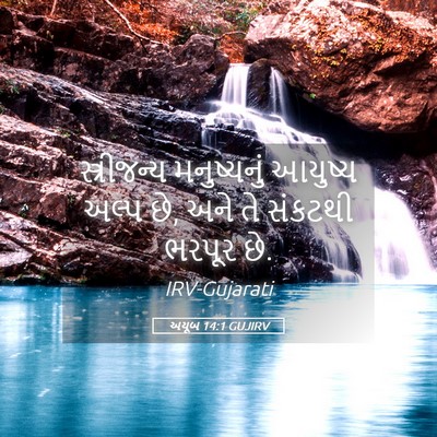 Picture 05 - અયૂબ 14:1 GUJIRV - સ્ત્રીજન્ય - Bible Verse Picture