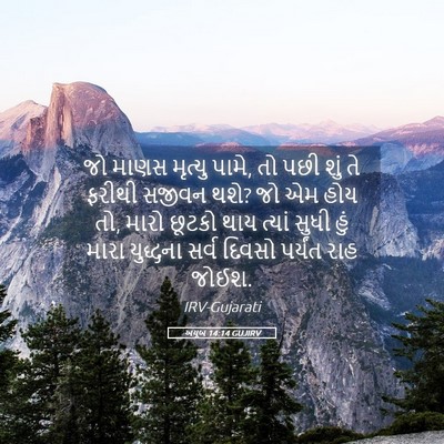 Picture 05 - અયૂબ 14:14 GUJIRV - જો માણસ મૃત્યુ - Bible Verse Picture