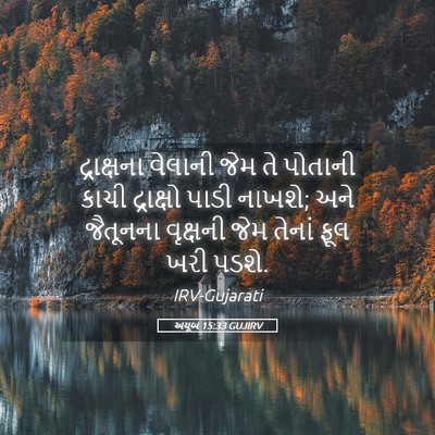 Picture 05 - અયૂબ 15:33 GUJIRV - દ્રાક્ષના વેલાની - Bible Verse Picture