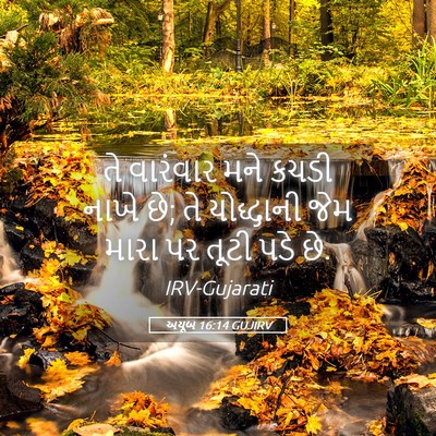 Picture 05 - અયૂબ 16:14 GUJIRV - તે વારંવાર મને - Bible Verse Picture