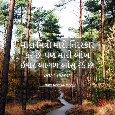 Picture 05 - અયૂબ 16:20 GUJIRV - મારા મિત્રો મારો - Bible Verse Picture
