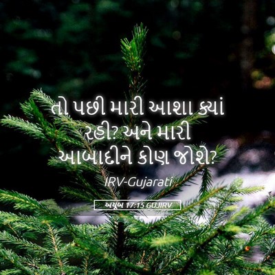 Picture 05 - અયૂબ 17:15 GUJIRV - તો પછી મારી આશા - Bible Verse Picture