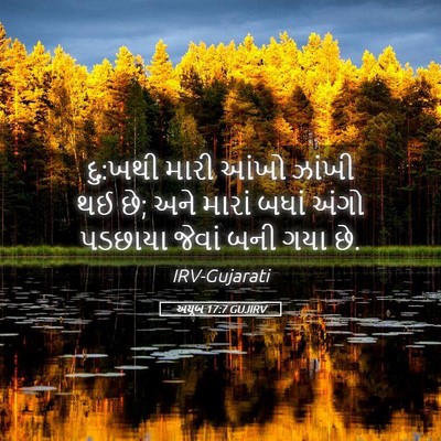 Picture 05 - અયૂબ 17:7 GUJIRV - દુ:ખથી મારી આંખો - Bible Verse Picture