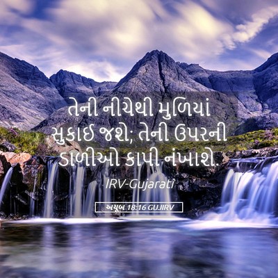 Picture 05 - અયૂબ 18:16 GUJIRV - તેની નીચેથી - Bible Verse Picture