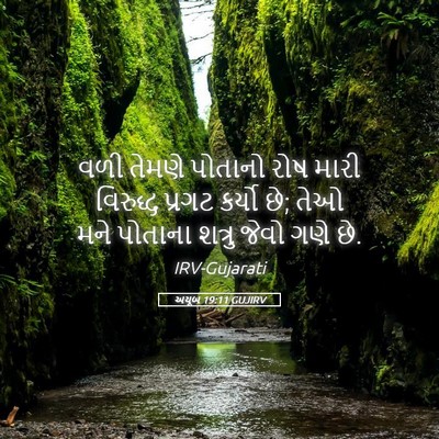 Picture 05 - અયૂબ 19:11 GUJIRV - વળી તેમણે પોતાનો - Bible Verse Picture