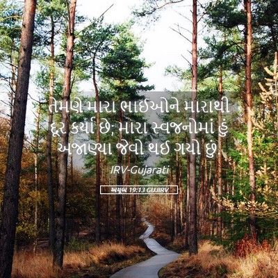 Picture 05 - અયૂબ 19:13 GUJIRV - તેમણે મારા ભાઈઓને - Bible Verse Picture