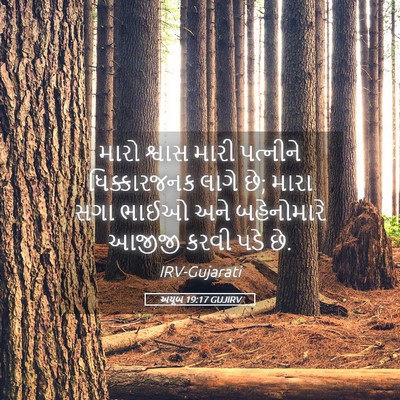 Picture 05 - અયૂબ 19:17 GUJIRV - મારો શ્વાસ મારી - Bible Verse Picture