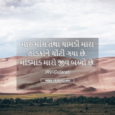 Picture 05 - અયૂબ 19:20 GUJIRV - મારું માંસ તથા - Bible Verse Picture