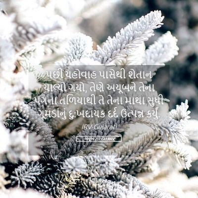 Picture 05 - અયૂબ 2:7 GUJIRV - પછી યહોવાહ પાસેથી - Bible Verse Picture