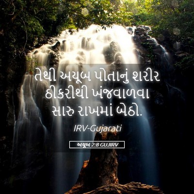 Picture 05 - અયૂબ 2:8 GUJIRV - તેથી અયૂબ પોતાનું - Bible Verse Picture