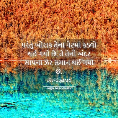 Picture 05 - અયૂબ 20:14 GUJIRV - પરંતુ ખોરાક તેના - Bible Verse Picture