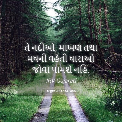 Picture 05 - અયૂબ 20:17 GUJIRV - તે નદીઓ, માખણ તથા - Bible Verse Picture