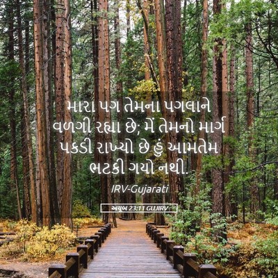 Picture 05 - અયૂબ 23:11 GUJIRV - મારા પગ તેમના - Bible Verse Picture