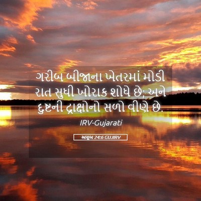 Picture 05 - અયૂબ 24:6 GUJIRV - ગરીબ બીજાના - Bible Verse Picture