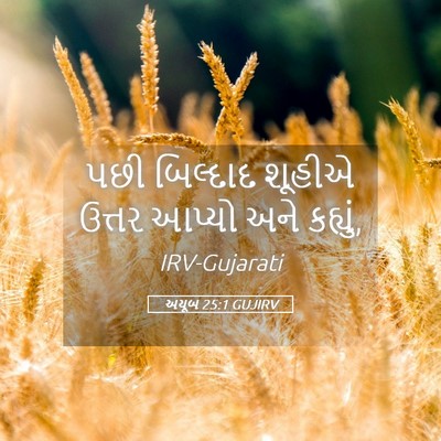 Picture 05 - અયૂબ 25:1 GUJIRV - પછી બિલ્દાદ શૂહીએ - Bible Verse Picture