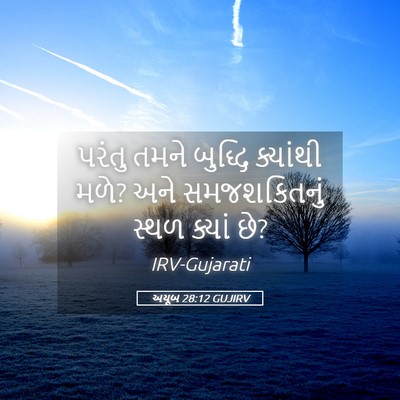 Picture 05 - અયૂબ 28:12 GUJIRV - પરંતુ તમને બુદ્ધિ - Bible Verse Picture
