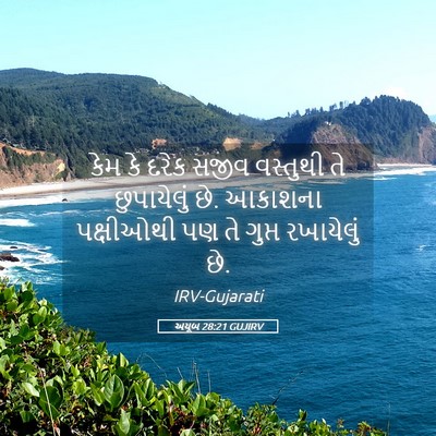 Picture 05 - અયૂબ 28:21 GUJIRV - કેમ કે દરેક સજીવ - Bible Verse Picture