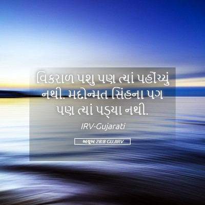 Picture 05 - અયૂબ 28:8 GUJIRV - વિકરાળ પશુ પણ - Bible Verse Picture