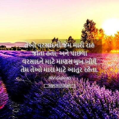 Picture 05 - અયૂબ 29:23 GUJIRV - તેઓ વરસાદની જેમ - Bible Verse Picture