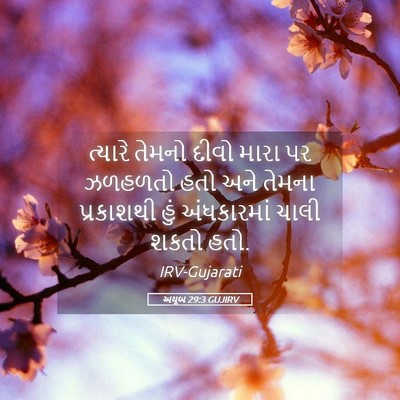 Picture 05 - અયૂબ 29:3 GUJIRV - ત્યારે તેમનો દીવો - Bible Verse Picture