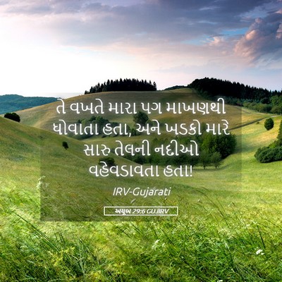 Picture 05 - અયૂબ 29:6 GUJIRV - તે વખતે મારા પગ - Bible Verse Picture