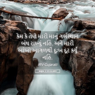 Picture 05 - અયૂબ 3:10 GUJIRV - કેમ કે તેણે મારી - Bible Verse Picture