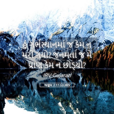 Picture 05 - અયૂબ 3:11 GUJIRV - હું ગર્ભસ્થાનમાં - Bible Verse Picture