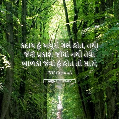 Picture 05 - અયૂબ 3:16 GUJIRV - કદાચ હું અધૂરો - Bible Verse Picture