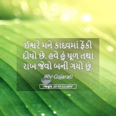 Picture 05 - અયૂબ 30:19 GUJIRV - ઈશ્વરે મને - Bible Verse Picture