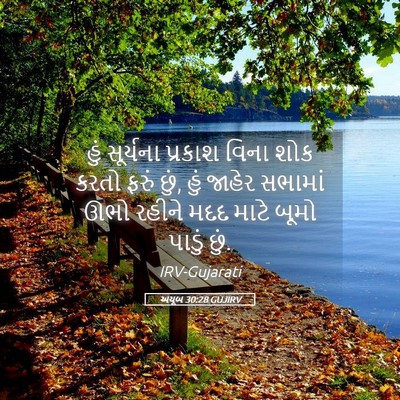Picture 05 - અયૂબ 30:28 GUJIRV - હું સૂર્યના - Bible Verse Picture