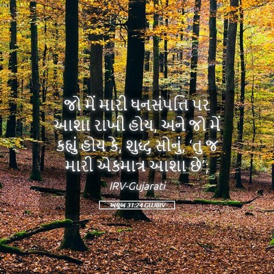 Picture 05 - અયૂબ 31:24 GUJIRV - જો મેં મારી - Bible Verse Picture