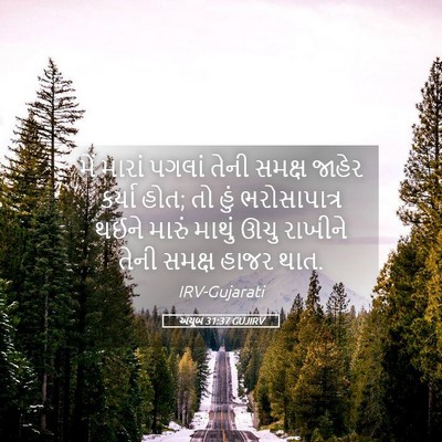 Picture 05 - અયૂબ 31:37 GUJIRV - મેં મારાં પગલાં - Bible Verse Picture