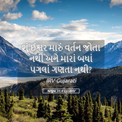 Picture 05 - અયૂબ 31:4 GUJIRV - શું ઈશ્વર મારું - Bible Verse Picture