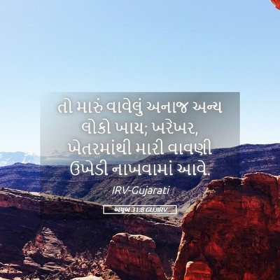 Picture 05 - અયૂબ 31:8 GUJIRV - તો મારું વાવેલું - Bible Verse Picture