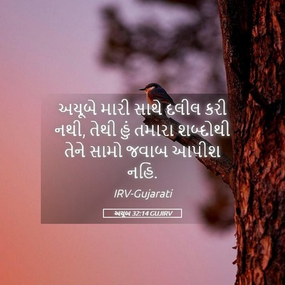 Picture 05 - અયૂબ 32:14 GUJIRV - અયૂબે મારી સાથે - Bible Verse Picture