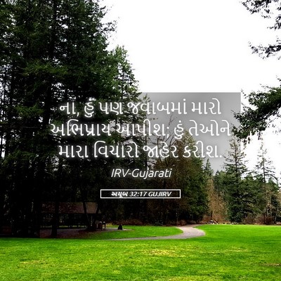 Picture 05 - અયૂબ 32:17 GUJIRV - ના, હું પણ જવાબમાં - Bible Verse Picture