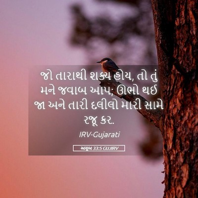 Picture 05 - અયૂબ 33:5 GUJIRV - જો તારાથી શક્ય હોય, - Bible Verse Picture