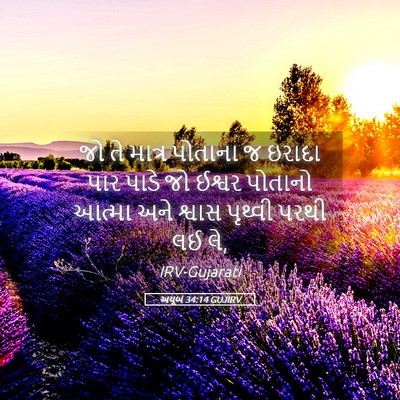 Picture 05 - અયૂબ 34:14 GUJIRV - જો તે માત્ર પોતાના - Bible Verse Picture