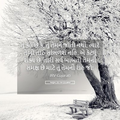 Picture 05 - અયૂબ 35:14 GUJIRV - તું કહે છે કે, તું - Bible Verse Picture