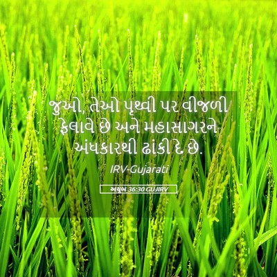 Picture 05 - અયૂબ 36:30 GUJIRV - જુઓ, તેઓ પૃથ્વી પર - Bible Verse Picture