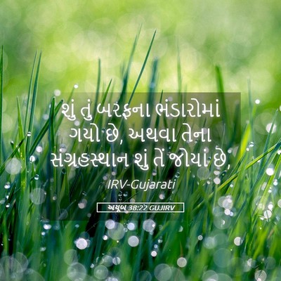 Picture 05 - અયૂબ 38:22 GUJIRV - શું તું બરફના - Bible Verse Picture