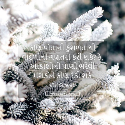 Picture 05 - અયૂબ 38:37 GUJIRV - કોણ પોતાની - Bible Verse Picture