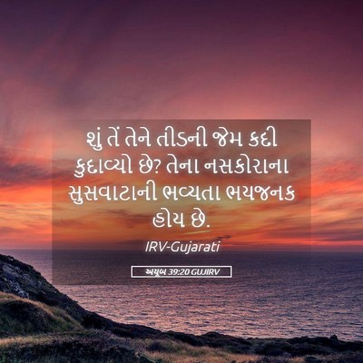 Picture 05 - અયૂબ 39:20 GUJIRV - શું તેં તેને તીડની - Bible Verse Picture