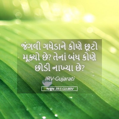 Picture 05 - અયૂબ 39:5 GUJIRV - જંગલી ગધેડાને - Bible Verse Picture