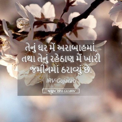 Picture 05 - અયૂબ 39:6 GUJIRV - તેનું ઘર મેં - Bible Verse Picture