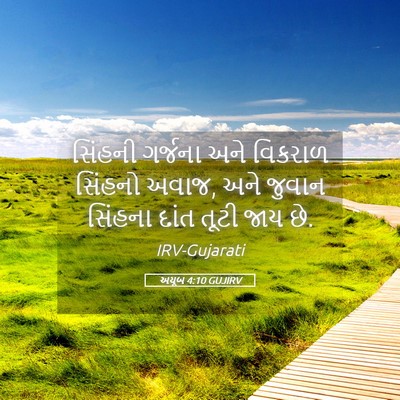 Picture 05 - અયૂબ 4:10 GUJIRV - સિંહની ગર્જના અને - Bible Verse Picture
