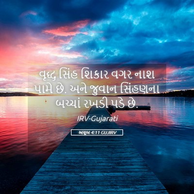 Picture 05 - અયૂબ 4:11 GUJIRV - વૃદ્ધ સિંહ શિકાર - Bible Verse Picture