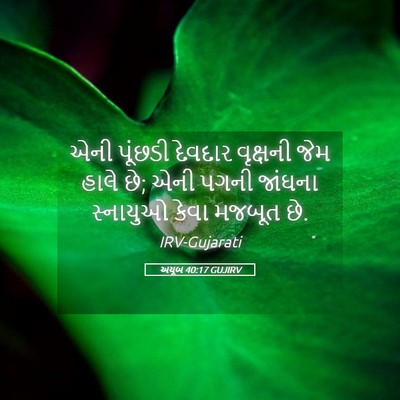 Picture 05 - અયૂબ 40:17 GUJIRV - એની પૂંછડી દેવદાર - Bible Verse Picture