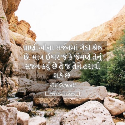 Picture 05 - અયૂબ 40:19 GUJIRV - પ્રાણીઓના - Bible Verse Picture